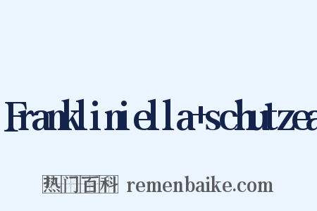 Frankliniella+schutzea是什么意思的图片